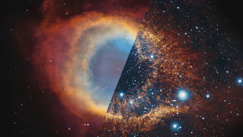 Applying Contrastive Learning to Stellar Spectra
